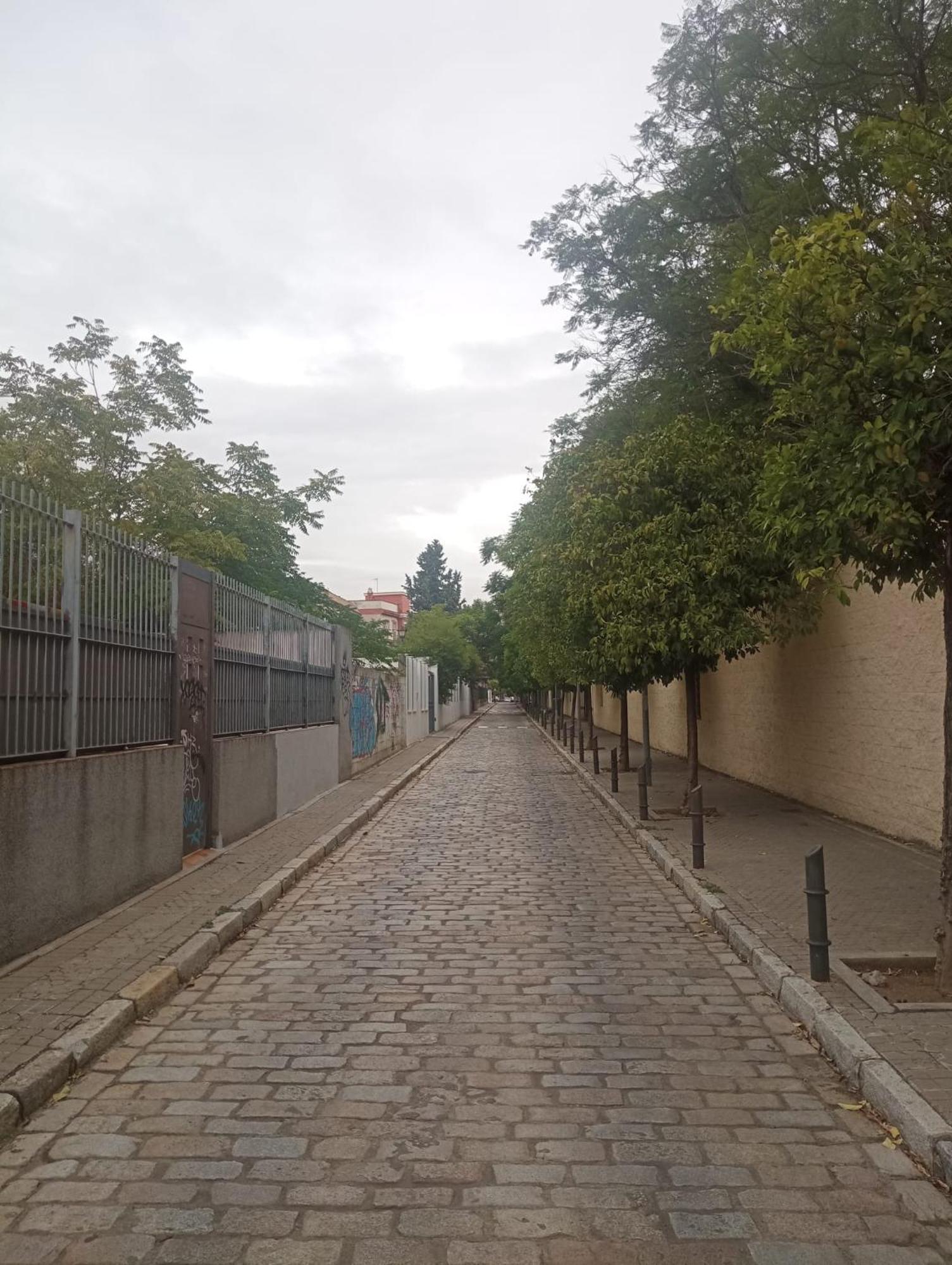 Rentalsevilla Marques De Estella Apartamento *